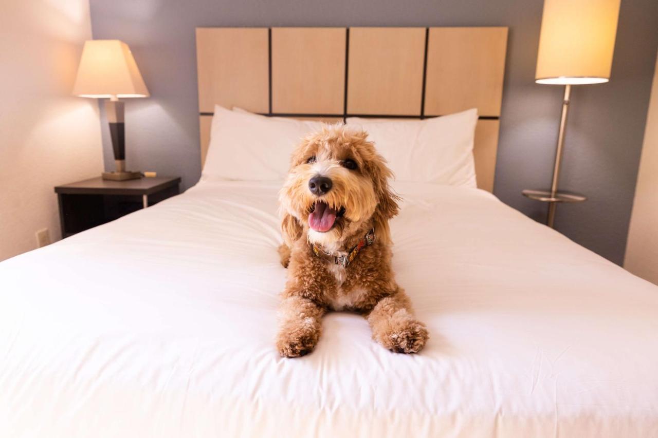 โซเนสตา ซิมพลี สวีท แอตแลนตา กวินเนตต์ เพลส Hotel ดุลูท ภายนอก รูปภาพ